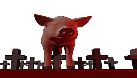 African Swine flu scare causes a ban on the sale and purchase of pork in Lucknow