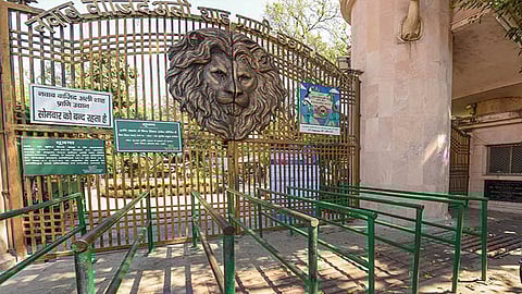 Lucknow zoo welcomes 12 new baby alligators!