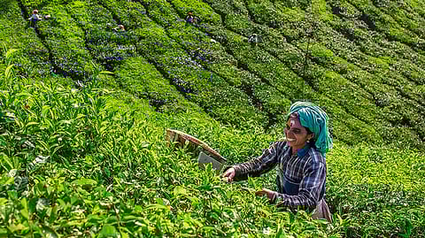 Daily News Wrap | India's inflation above tolerance; DRI unearths customs duty evasion by Oppo India