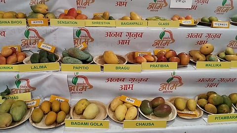 लखनऊ आम महोत्सव