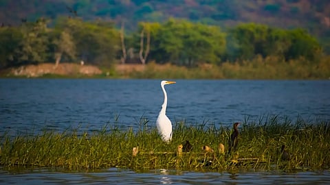 Indore's Sirpur lake gets Ramsar certification; declared as wetland of International importance