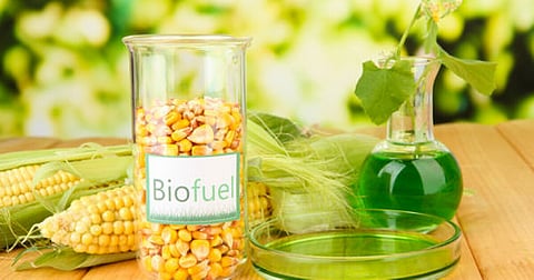 Uttar Pradesh reveals guidelines for Bioenergy policy; targets biofuel production