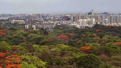 Supreme Court halts all operations in Mumbai's Aarey forest area