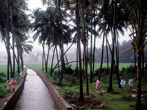 Orange alert issued in Goa; Dudhsagar trek to resume in October