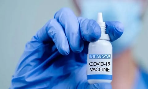Knocksense Shorts | Bharat Biotech's COVID-19 nasal vaccine gets a nod for restricted use in India
