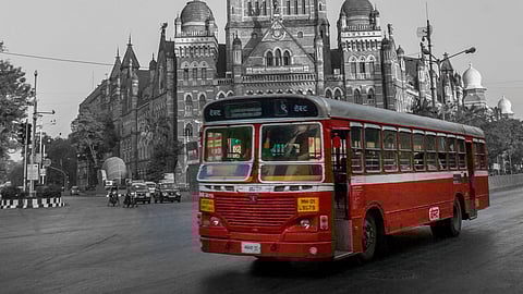 Knocksense Shorts | Hurry now to grab BEST's ₹799 plan at just ₹199