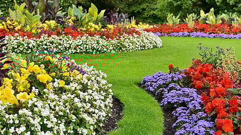 Lucknow to turn bright & fragrant with a new perfume park, flower garden & motion park