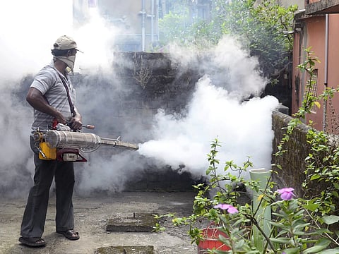 Dengue cases in Lucknow cross 370 mark with 39 new daily infections; Health dept issues notice