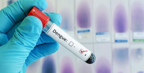 Dengue tally in Lucknow peaks at 817 as the city records 23 fresh cases