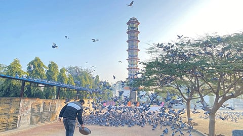 Did you know that Jaipur features a colourful 6-storey apartment for birds?