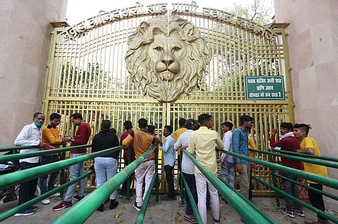 Lucknow Zoo to welcome a new white tigress from Chennai's Arignar Anna Zoological Park