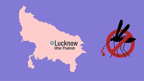 Lucknow records 45 dengue cases on Thursday; LMC begins 15-day massive fogging drive