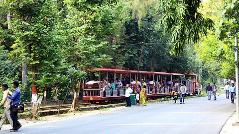 Lucknow zoo preps up to provide care against cold to animals
