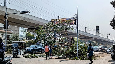 Development but at what cost? Greenbelt destroyed for Munshipulia-Polytechnic flyover construction