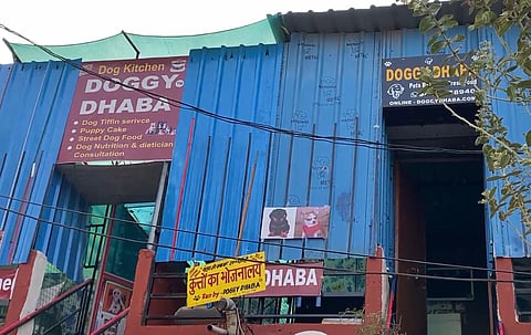 'Doggy Dhaba' in Indore is a haven for pets and their parents