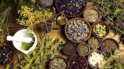 Uttar Pradesh to soon get its very 1st All India Institute of Ayurveda (AIIA)