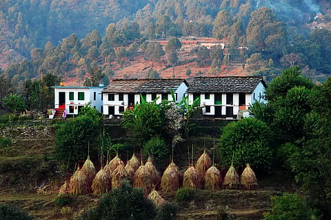 Planning a tranquil getaway from Lucknow? Unearth the beauty of Binsar in Uttarakhand!