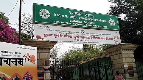 In Pics | A sneak peek into a world of colourful blooms at Bougainvillea Festival in NBRI Lucknow