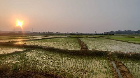 Kanpur weather to remain steady at maximum 39°C with party cloudy skies for the next week
