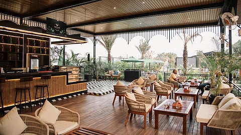 Cricket fanatics, unite! Watch live IPL screenings, amidst delish F&B, at these spots in Lucknow