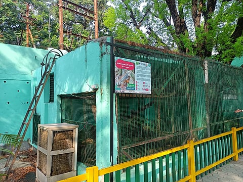 Knocksense Shorts | Animals at Indore zoo get sprinklers, water coolers as temperatures rise