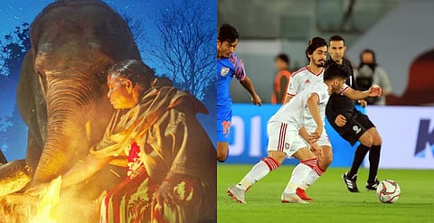 May 31 News Roundup | Goa Environmental Film Festival, Indian football season to kick off & more