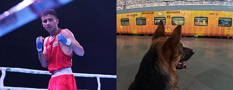 May 8 News Roundup | Indian boxer beats Olympic medalist, Train tickets for pets soon & more