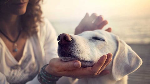 Representational image