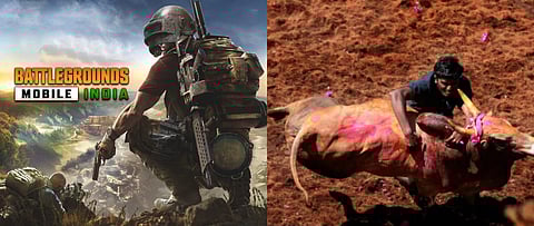 May 19 News Roundup | Return of BGMI, SC's judgment on Jallikattu as legal animal sport & more