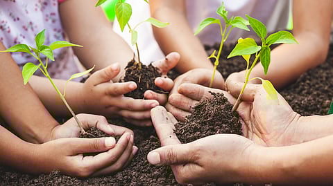 World Environment Day to be celebrated as 'Lifestyle Day' in UP; eco-friendly initiatives encouraged