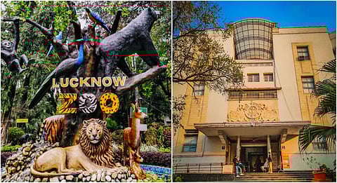 Avadh Gallery in Lucknow Zoo to be modernized with tech integration