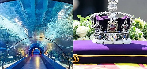 May 15 News Roundup | Govt's campaign to bring back Kohinoor, India's largest tunnel aquarium & more