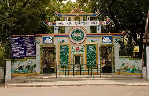 Ahmedabad's Kankaria Zoo: Enthralling wildlife enthusiasts since 1951