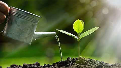 UP Govt to launch 'one tap, one tree' campaign; 5 lakh saplings to be distributed in rural areas