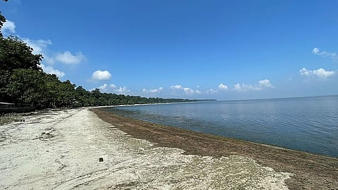 Pilibhit's Chuka beach becomes an alluring tourist hub; Registers 40% surge in footfall