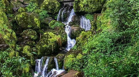 Surrounded by lush greenery, visit THESE 5 majestic waterfalls near Mumbai this monsoon