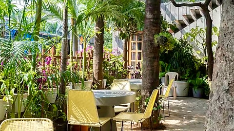 Juhu's Glasshouse Restaurant: Seasoned with greenery, The Conservatory calms the city rush