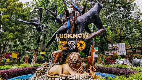 Lucknow Zoo preps for monsoon; Steps taken to prevent waterlogging, protect animals from humidity