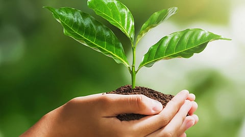 World Conservation Day: Here are 7 lesser-known sustainable habits to inculcate in our daily lives