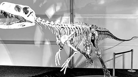 Lucknow-based scientist part of team that discovered dinosaur fossil of new species in Jaisalmer