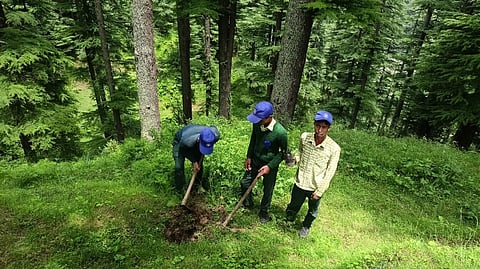 Plantation drive by NSS volunteers of Himachal Pradesh, as part of Meri Maati, Mera Desh campaign