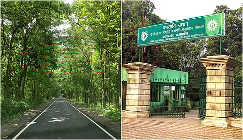 Enhancing urban greenery, NBRI set to create third Miyawaki forest in Lucknow