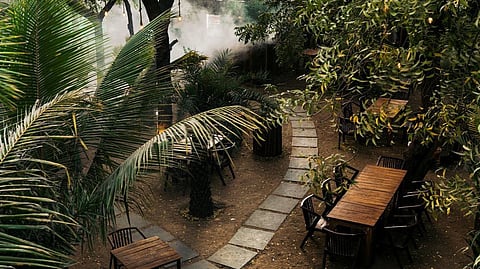 Arbre Cafe Ahmedabad: A dining experience wrapped in Nature's elegance