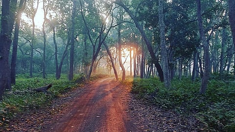 Discovering Earth's Ecotopia: Celebrating World Tourism Day with these must-visit spots from Lucknow