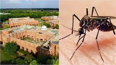 Lucknow Roundup | IIM-L clinches spot in top B-schools list, surge in dengue cases & more