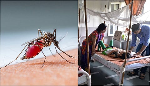 8 dengue cases reported in Lucknow this Thursday; tally reaches 138
