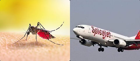 Sep 6 Ahmedabad News Roundup|From new flights to Goa and Kolkata to rise in dengue cases & more