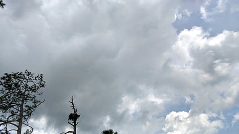 Knocksense Shorts | Kanpur folks can expect cloudy skies, light rainfall on Saturday & Monday