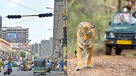 Ahmedabad News Roundup | AMC's plan for a jungle safari park, textile industry boom & more