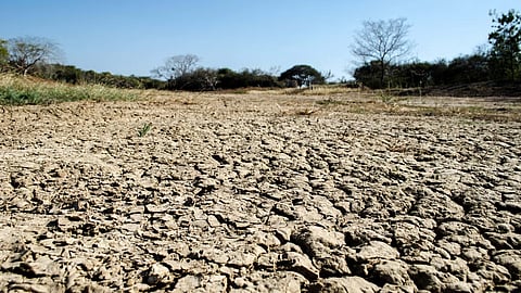 India records driest and warmest August since 1901; IMD points out 36% rainfall deficit